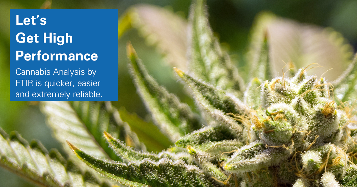 Cannabis Analysis - Bruker Optics Blog