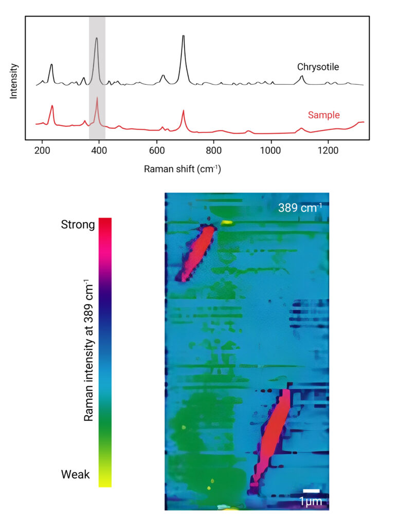 Image consisting of two parts. The upper part shows two spectra one in black and one in red. The red spectra is the spectra of the measured sampled the black one is Crystotile. The seconf part of the image is a colorful Raman map in green and blue as well as red and violet. The red and violet part of the image is needle shaped and shows the asbestos fibers. The blue and green part is the background. This is how a Raman Asbestos fiber analysis looks like with the RAMANtouch.