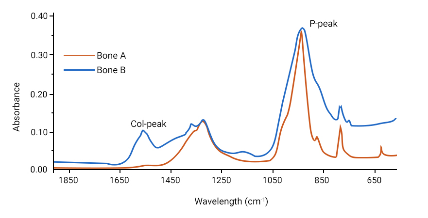 Portable FTIR in Archeology can create excellent FTIR spectra already in the field. The image depicts such a field -recorded IR spectrum of two bones. It shows a brown line for Bone A and a blue line for Bone B. 